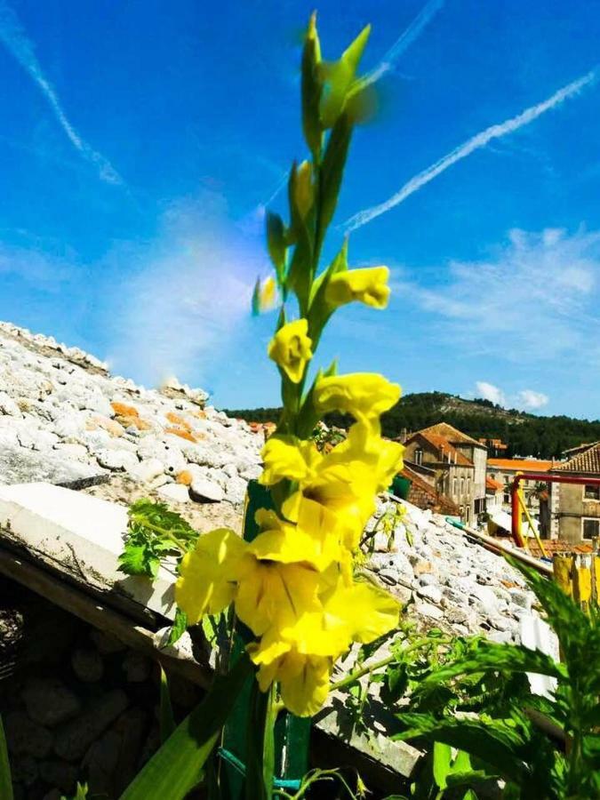 Guest House San Nikola Stari Grad (Hvar) Exterior photo